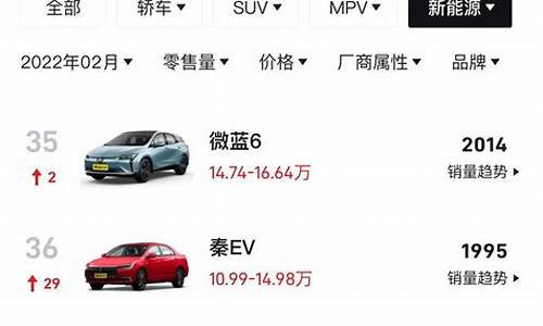 30万左右口碑最好的新能源车_30万新能